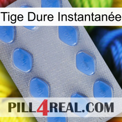 Tige Dure Instantanée 21